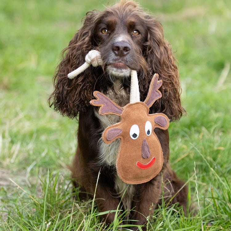 Benji &amp; Flo Christmas Dog Toys - Reindeer image 2